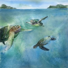 Green Sea Turtle Triple Diptych Panel 1